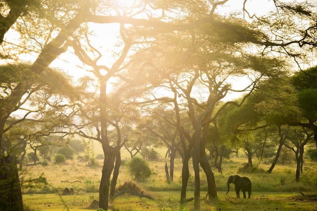 Babati Sanctuary Swala酒店 外观 照片
