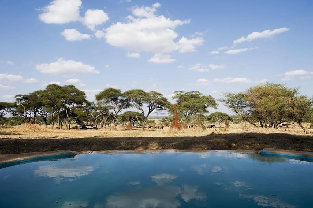 Babati Sanctuary Swala酒店 外观 照片