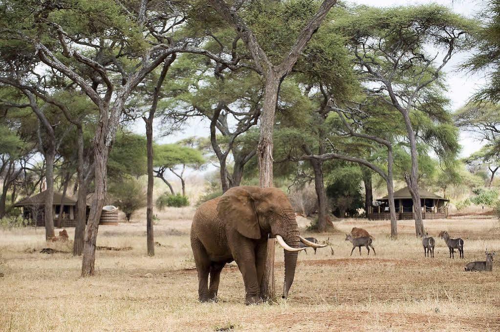 Babati Sanctuary Swala酒店 外观 照片